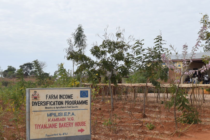 Products under FIDP initiatives displayed at National Agriculture Fair Products under FIDP initiatives displayed at National Agriculture Fair