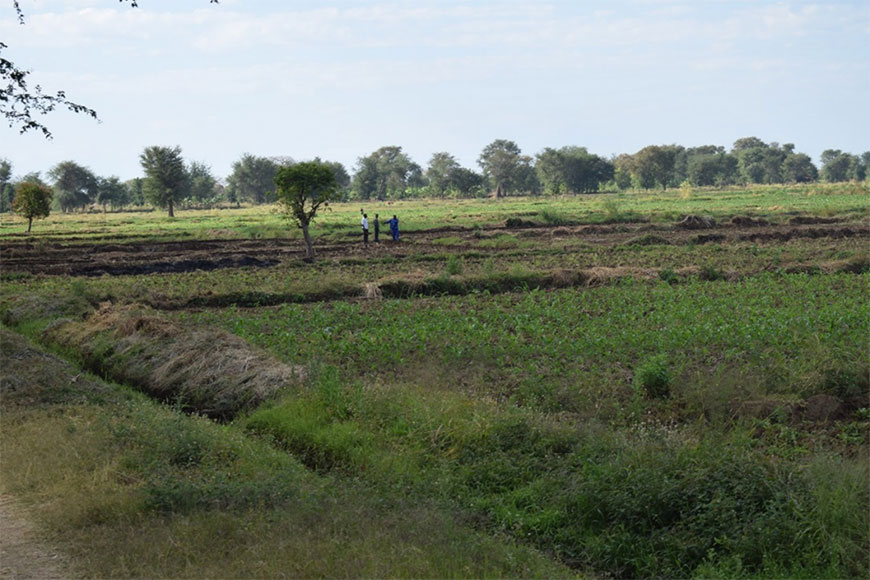 Rights to pieces of land like these have to be protected