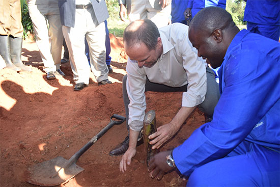 EU Ambassador planting a well-treated Banana Sucker at Mzuzu RTC during a field mission EU Ambassador planting a well-treated Banana Sucker at Mzuzu RTC during a field mission