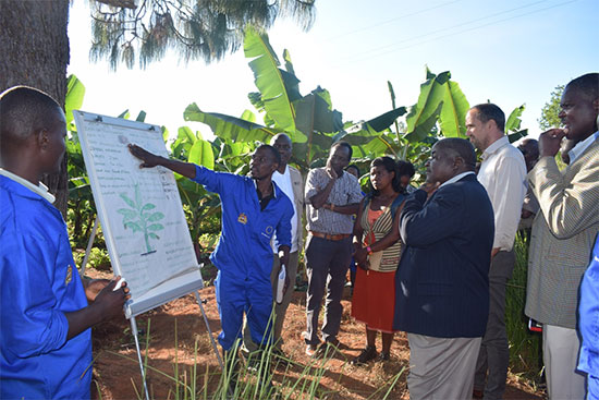 One of the Master Trainers presenting to visitors on the Agro-Eco-System Analysis (AESA) for Banana crop under FFS at Mzuzu RTC One of the Master Trainers presenting to visitors on the Agro-Eco-System Analysis (AESA) for Banana crop under FFS at Mzuzu RTC