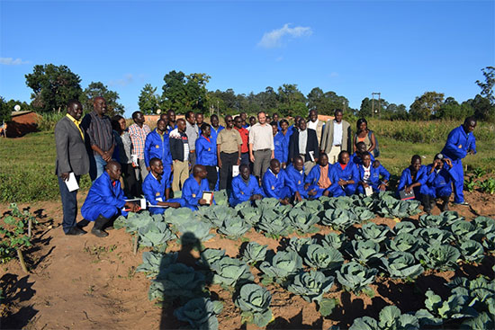 A group photo of the visiting team and the Master Trainers in Blue colour behind a cabbage plot at Mzuzu RTC A group photo of the visiting team and the Master Trainers in Blue colour behind a cabbage plot at Mzuzu RTC